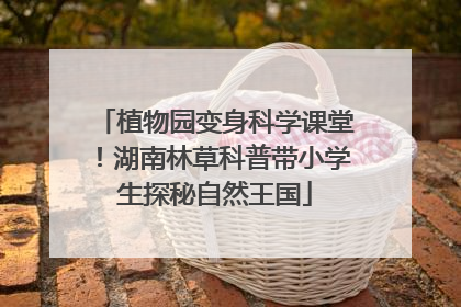 植物园变身科学课堂！湖南林草科普带小学生探秘自然王国