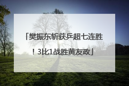 樊振东斩获乒超七连胜！3比1战胜黄友政