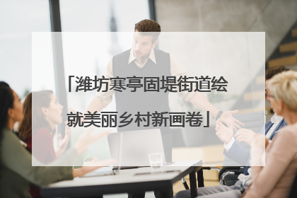 潍坊寒亭固堤街道绘就美丽乡村新画卷