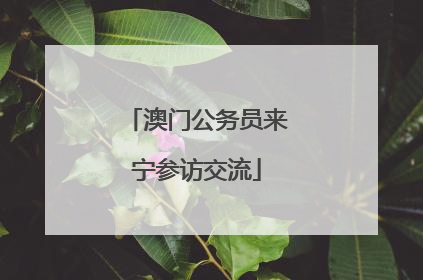 澳门公务员来宁参访交流