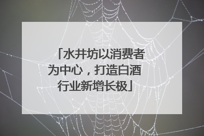 水井坊以消费者为中心，打造白酒行业新增长极