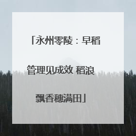 永州零陵：早稻管理见成效 稻浪飘香穗满田