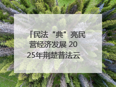 民法“典”亮民营经济发展 2025年荆楚普法云课堂第二期在武汉客厅开讲