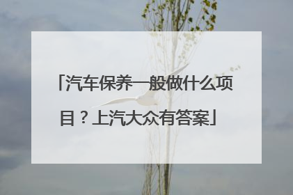 汽车保养一般做什么项目？上汽大众有答案