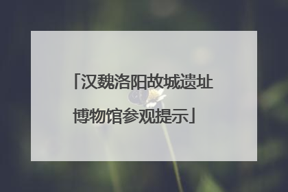 汉魏洛阳故城遗址博物馆参观提示