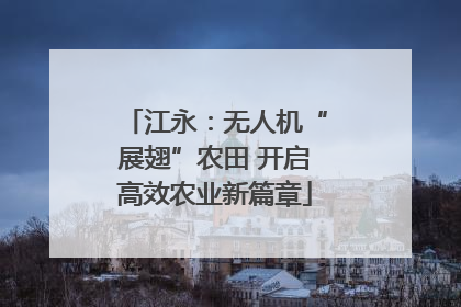 江永：无人机“展翅”农田 开启高效农业新篇章
