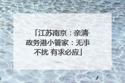 江苏南京：亲清·政务港小管家：无事不扰 有求必应