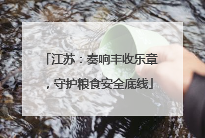 江苏：奏响丰收乐章，守护粮食安全底线