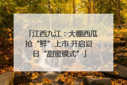 江西九江：大棚西瓜抢“鲜”上市 开启夏日“甜蜜模式”