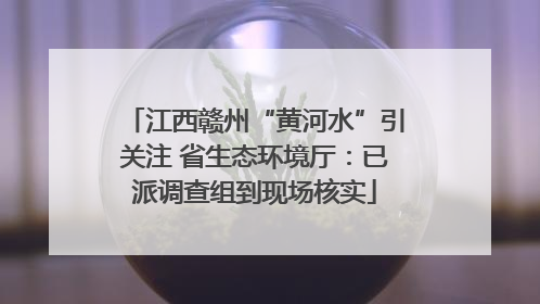 江西赣州“黄河水”引关注 省生态环境厅：已派调查组到现场核实