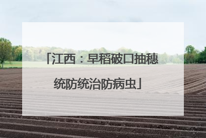 江西：早稻破口抽穗 统防统治防病虫