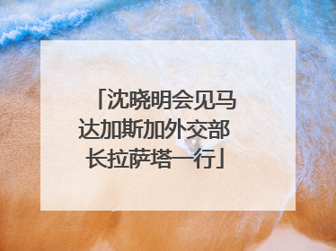 沈晓明会见马达加斯加外交部长拉萨塔一行