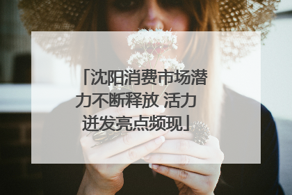 沈阳消费市场潜力不断释放 活力迸发亮点频现