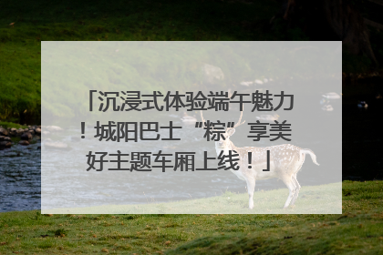 沉浸式体验端午魅力！城阳巴士“粽”享美好主题车厢上线！