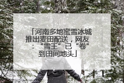 河南多地蜜雪冰城推出麦田配送，网友：“雪王”已“卷”到田间地头