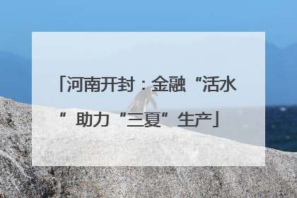 河南开封：金融“活水”助力“三夏”生产