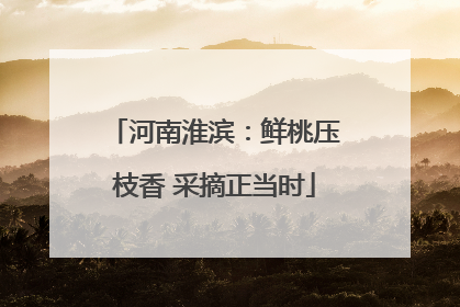 河南淮滨：鲜桃压枝香 采摘正当时