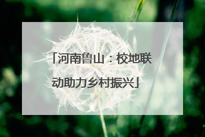 河南鲁山：校地联动助力乡村振兴