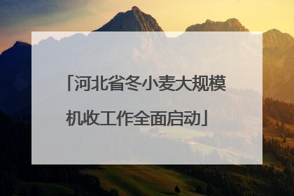 河北省冬小麦大规模机收工作全面启动