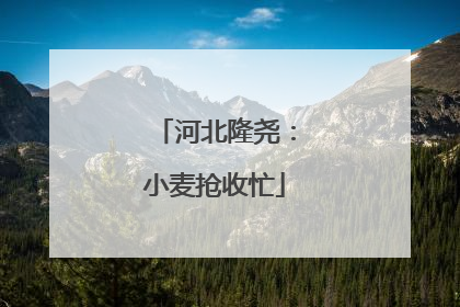 河北隆尧：小麦抢收忙
