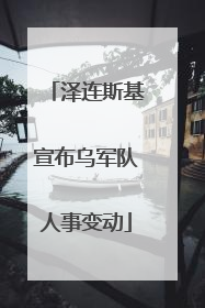 泽连斯基宣布乌军队人事变动