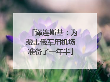泽连斯基：为袭击俄军用机场准备了一年半