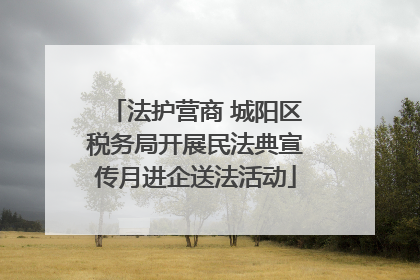 法护营商 城阳区税务局开展民法典宣传月进企送法活动