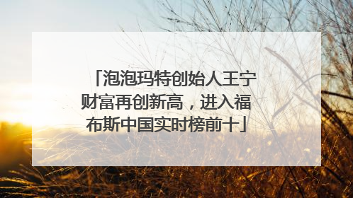 泡泡玛特创始人王宁财富再创新高，进入福布斯中国实时榜前十