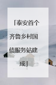泰安首个齐鲁乡村国债服务站建成