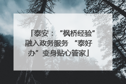 泰安：“枫桥经验”融入政务服务 “泰好办”变身贴心管家