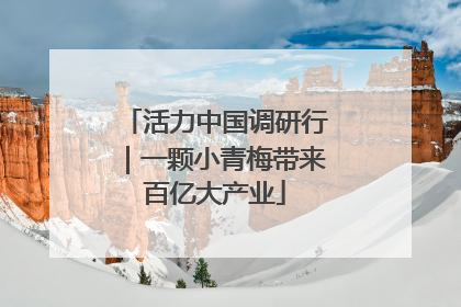 活力中国调研行｜一颗小青梅带来百亿大产业