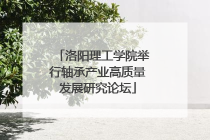 洛阳理工学院举行轴承产业高质量发展研究论坛