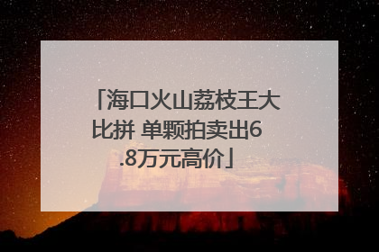 海口火山荔枝王大比拼 单颗拍卖出6.8万元高价