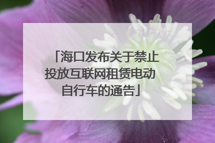 海口发布关于禁止投放互联网租赁电动自行车的通告