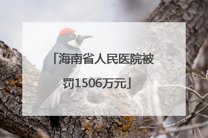 海南省人民医院被罚1506万元