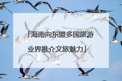 海南向东盟多国旅游业界推介文旅魅力