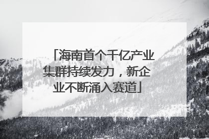 海南首个千亿产业集群持续发力，新企业不断涌入赛道