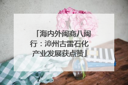 海内外闽商八闽行：漳州古雷石化产业发展获点赞