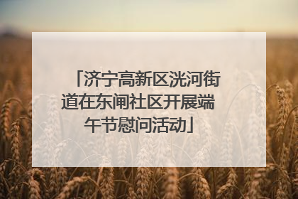 济宁高新区洸河街道在东闸社区开展端午节慰问活动
