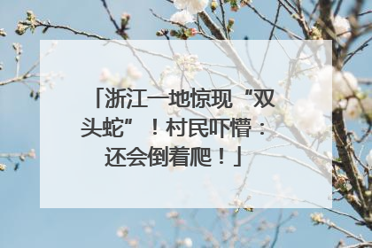 浙江一地惊现“双头蛇”！村民吓懵：还会倒着爬！