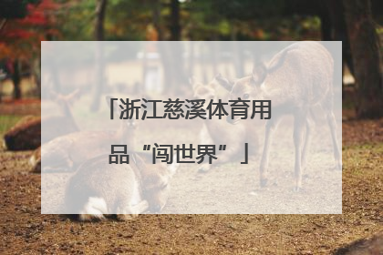 浙江慈溪体育用品“闯世界”