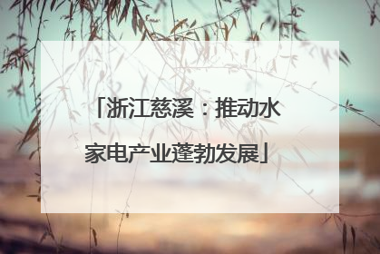 浙江慈溪：推动水家电产业蓬勃发展