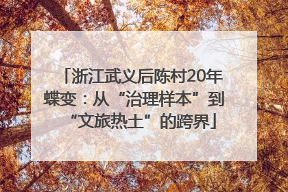 浙江武义后陈村20年蝶变：从“治理样本”到“文旅热土”的跨界