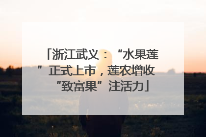 浙江武义：“水果莲”正式上市，莲农增收“致富果”注活力