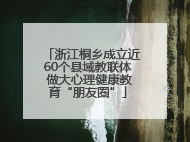 浙江桐乡成立近60个县域教联体 做大心理健康教育“朋友圈”