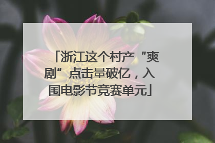 浙江这个村产“爽剧”点击量破亿，入围电影节竞赛单元