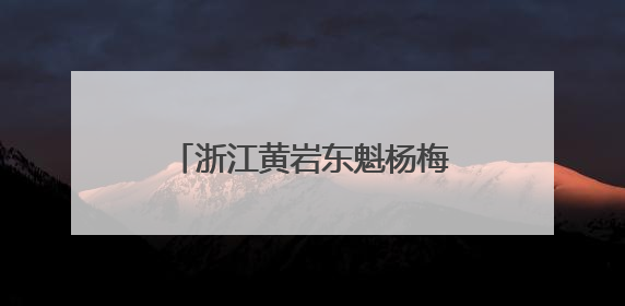 浙江黄岩东魁杨梅季系列活动启幕
