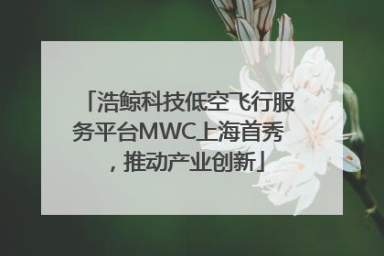 浩鲸科技低空飞行服务平台MWC上海首秀，推动产业创新