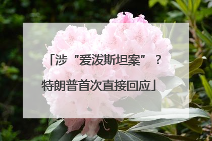 涉“爱泼斯坦案”？特朗普首次直接回应