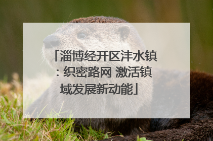 淄博经开区沣水镇：织密路网 激活镇域发展新动能